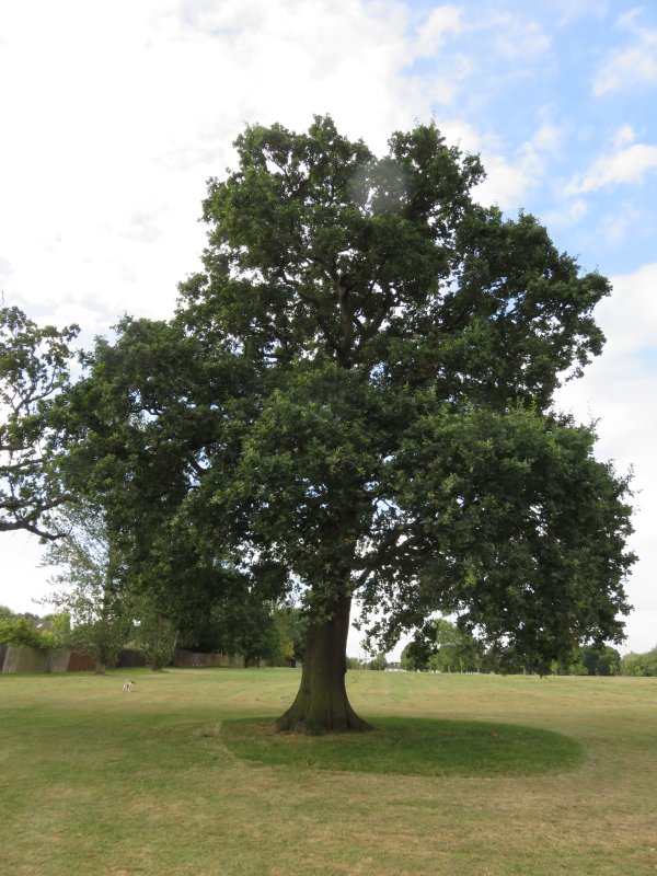 Cuddington Recreation Ground